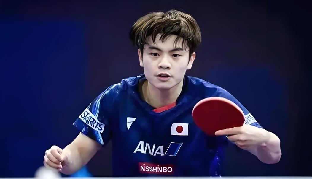 南宫28-切尔西观众热烈欢呼！，穆雷迎来三赛季出色发挥上演精彩一战的简单介绍